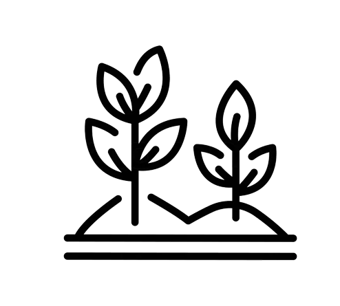 Canopy Farms Limited