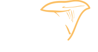 Logo Canopy footer